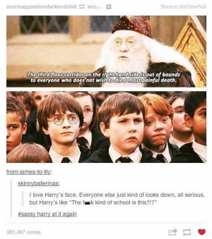 23 Funniest Things Tumblr Has Ever Said About Harry Potter
