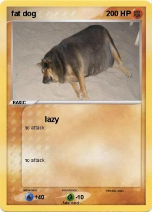 pokemon fat dog
