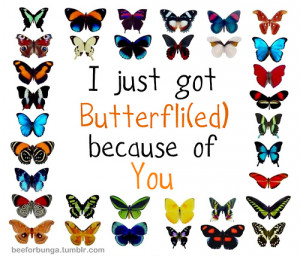 getting butterflies quotes