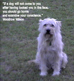 KC's Dog Ecards - Dog Quotes