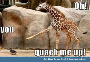 duck giraffe animal meme funny pics pictures pic picture image photo ...
