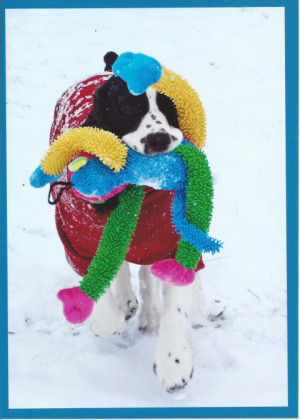 Troll Quotes Follow Order...