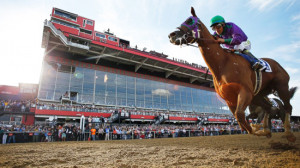 ... horse race at Pimlico Race Course, Saturday, May 17, 2014, in