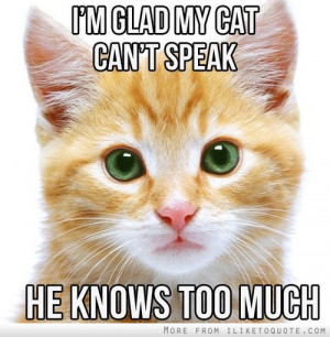 glad my cat can't speak. He knows too much.