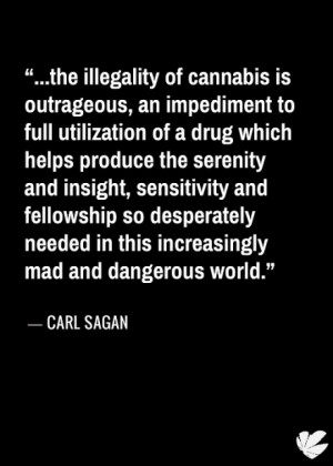 November 21, 2013 0 Comments legalize marijuana , quote