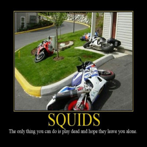 Oops, motorcycle, sportbike, squids