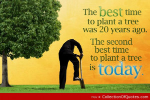 ... Plant-A-Tree-Was-20-Years-Ago-The-Second-Best-Time-To-Plant-A-Tree-Is