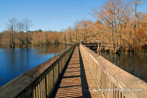 Free Quotes Pics on: Lake Chicot State Park