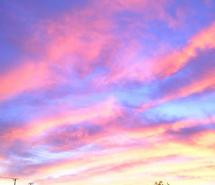 backyard-beautiful-blue-sky-december-sky-desert-sky-347341.jpg