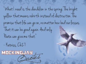 Spoiler Alert: Hunger Games/Mockingjay quote.