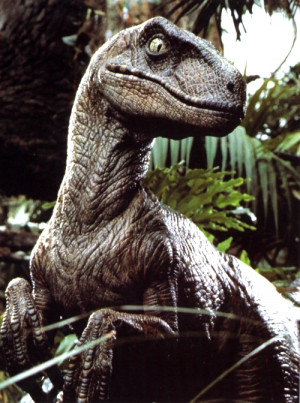 Jurassic Park Velociraptor (Movie Monster)