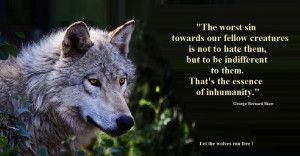 ... Is Not To Hate Them But To Be Indifferent To Them - Animal Quote
