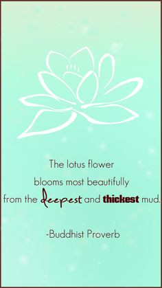 ... most beautifully from the deepest and thickest mud. - Buddhist Proverb