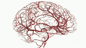 artery-anterior-communicating-artery-basilar-artery-posterior-inferior ...