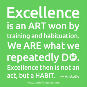 is striving for excellence quote excellence is not a skill