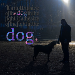 Quotes Picture: it's not the size of the dog in the fight, it's the ...