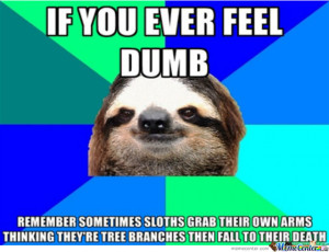 like sloth sloths rude did i say angry sloth meme original lol