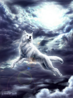 Commission: Spirit Wolf by jocarra