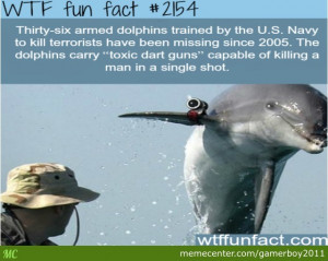 ... Or Sh^t But Because Of Killer God Damn Dolphins With Toxic Dart Guns