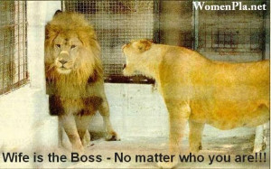 True or False..! What you think?