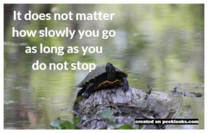 Inspirational Quotes: Don’t Stop. Just Keep Going