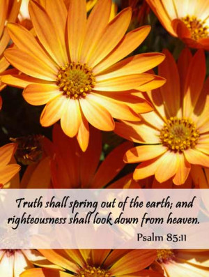 Spring Flowers & Bible Verses