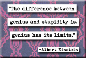 Albert Einstein Stupidity Quote Magnet (no.170)
