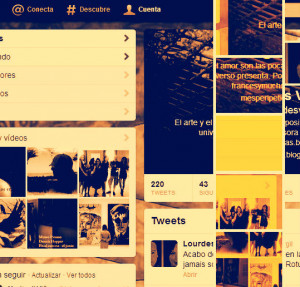 Fle Singular Possessive Adjectives