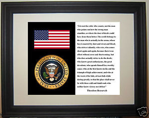 President-1901-1909-Theodore-Roosevelt-Quote-American-Flag-Seal-Framed ...