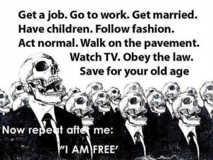 ... Watch TV. Obey the law. Save for your old age.Now repeat after me: 