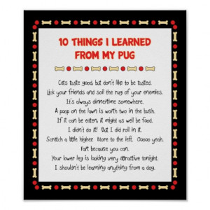 Funny Things I Learned From My Pug Poster