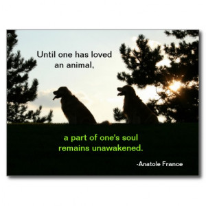 Golden Retriever Spiritual Pet Quote Postcards