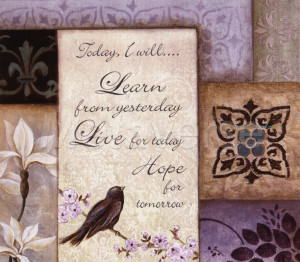 Lavender Inspiration I by Tava Studios art print