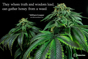 Marijuana Quote Image - Wisdom by Cowper 600x400