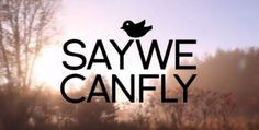 ... braden barry music stuff braden barrie saywecanfly saywecanfly 33 1 1