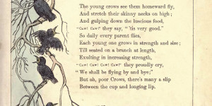 crows crows in literature poem poetry on march 8 2013