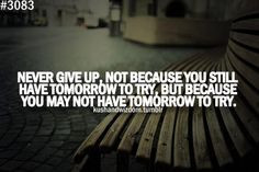 NEVER GIVE UP. Not because you still have tomorrow to try, but because ...
