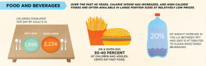 What Causes Obesity? Obesity Facts In America (Info-Graphic)