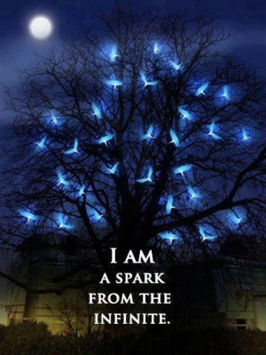 spark* - http://www.awakening-intuition.com/rumi-quotes.html