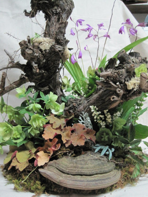 ... - grapevine stump, fungus, helleborus, lily of the valley, bletilla
