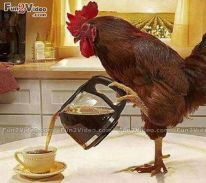 Good Morning Funny Coffee