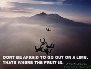 Don't be afraid to go out on a limb. Thats where the fruit is ...