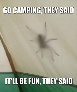 Go camping they said it will be fun they said