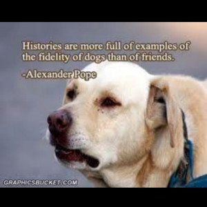 Alexander Pope quote