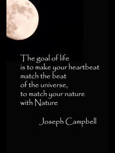 Joseph Campbell More