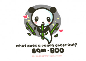 tumblr panda panda quotes tumblr panda quotes tumblr i love pandas