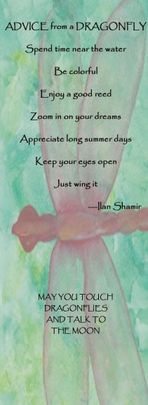 dragonfly quotes