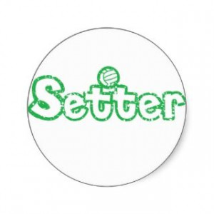 related volleyball setter quotes sayings volleyball quotes