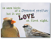 Love Birds photography print romance quote 8x10 original art cardinal ...