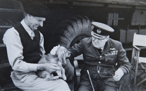 , Montgomery & his dog (named Rommel) in Normandy at Montgomery ...